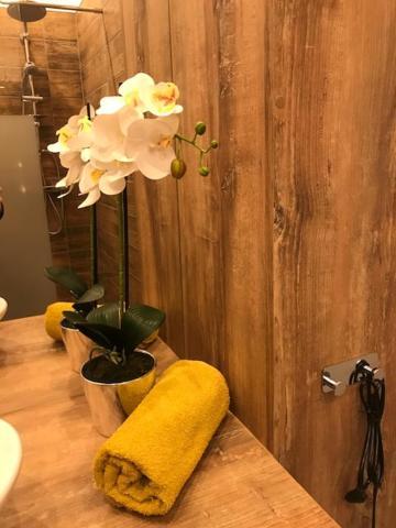 Apartament Gosia نيسة المظهر الخارجي الصورة